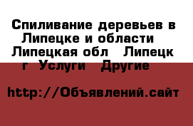 Спиливание деревьев в Липецке и области - Липецкая обл., Липецк г. Услуги » Другие   